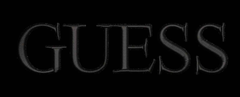 Guess Logo 2 Embroidery Design